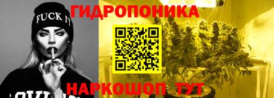 СК Гусь-Хрустальный